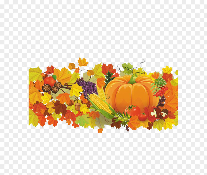 Corn Leaves Illustrations Hand-painted Big Harvest Autumn Thanksgiving Party Clip Art PNG