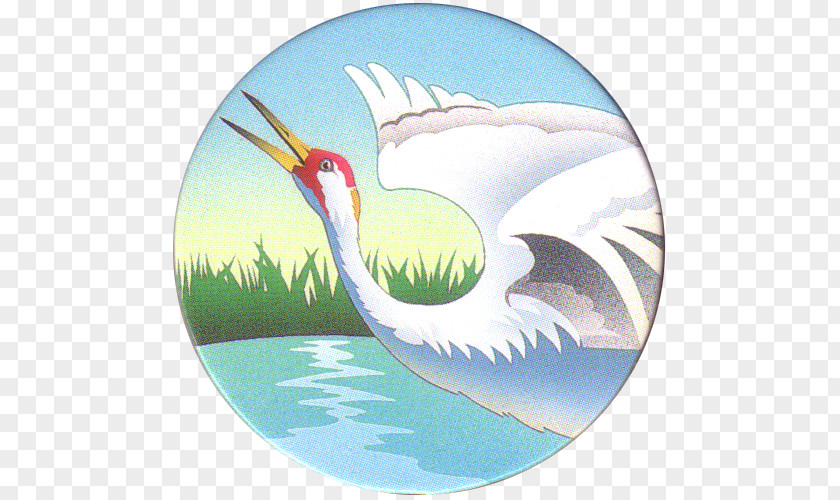 Crane Beak Bird Cygnini Goose PNG
