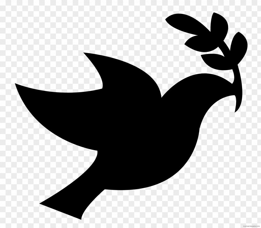 Dove Clipart Columbidae Doves As Symbols Peace Domestic Pigeon Clip Art PNG
