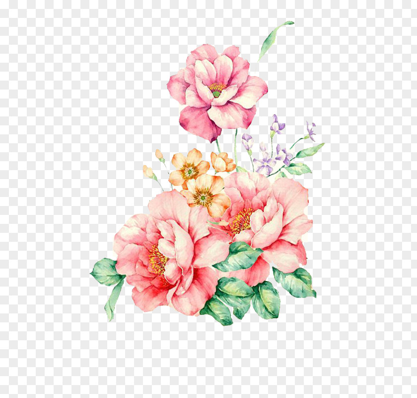 Floral Watercolor Flower Painting PNG