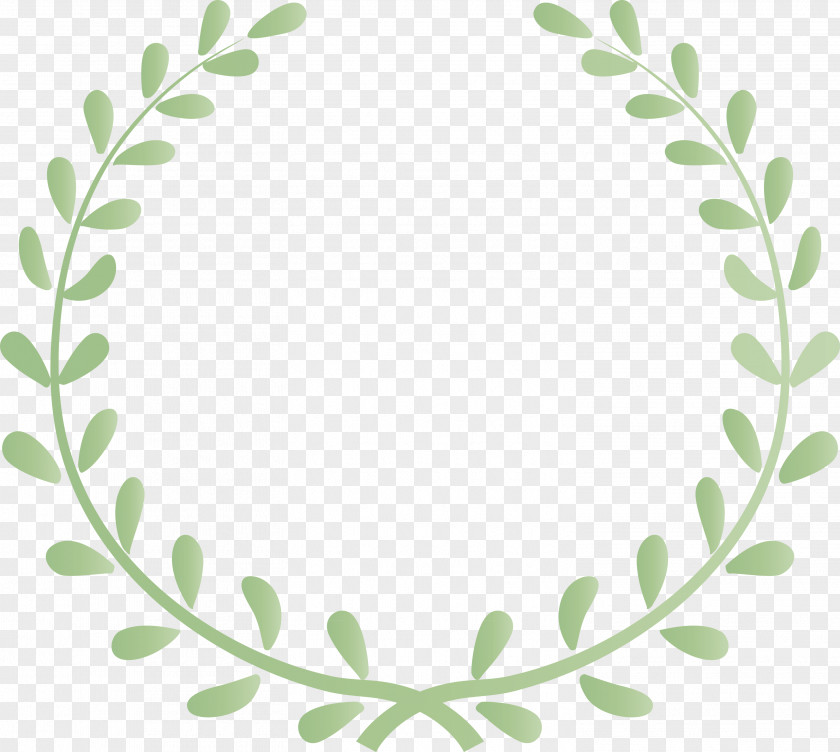 Flower Frame Floral PNG