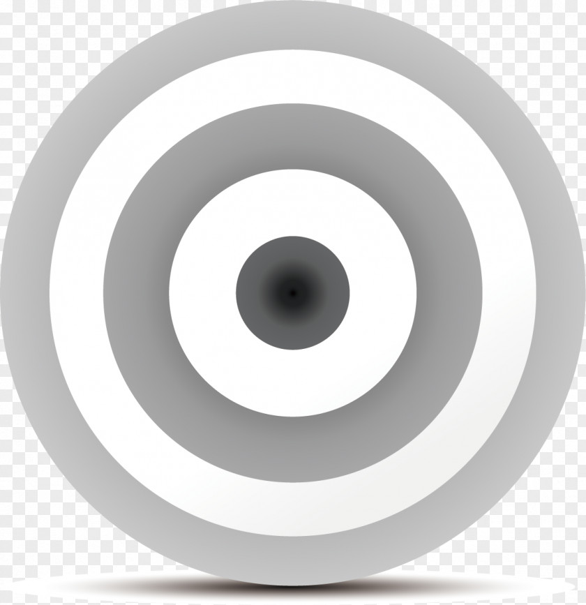 Grey Circular Target Image Around Circle PNG
