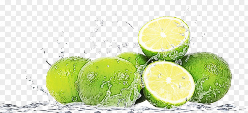 Lemon Lemonlime Key Lime Persian Citrus Fruit PNG