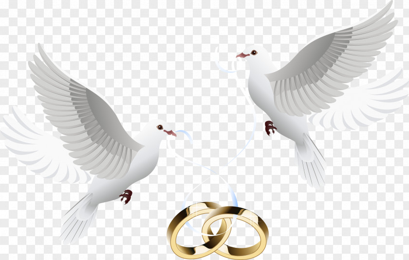 Pigeon Wedding Invitation Cake Ring PNG