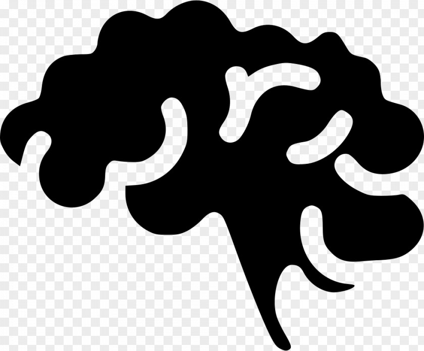 Brain Neuroscience Clip Art Medicine Neurology PNG