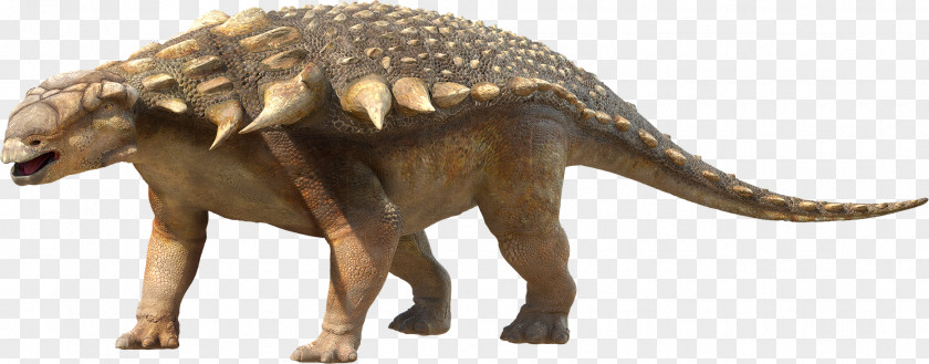 Dinosaur Tyrannosaurus Edmontonia Hesperonychus Parksosaurus Pachyrhinosaurus PNG