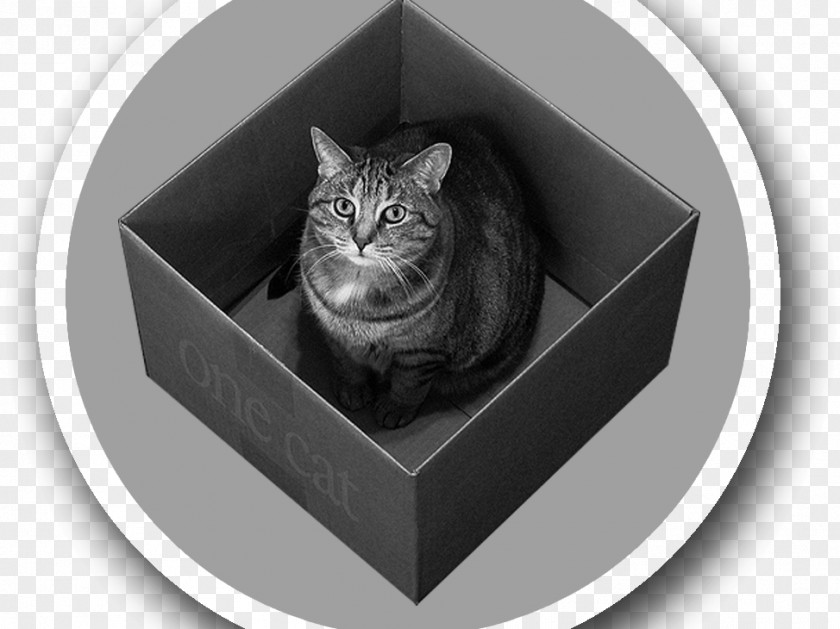 Line Art Quantum Mechanics Schrödinger's Cat Physics Particle In A Box PNG
