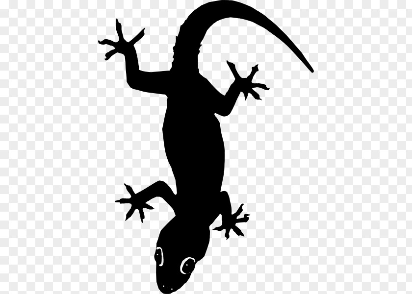 Lizard Vector Clip Art PNG