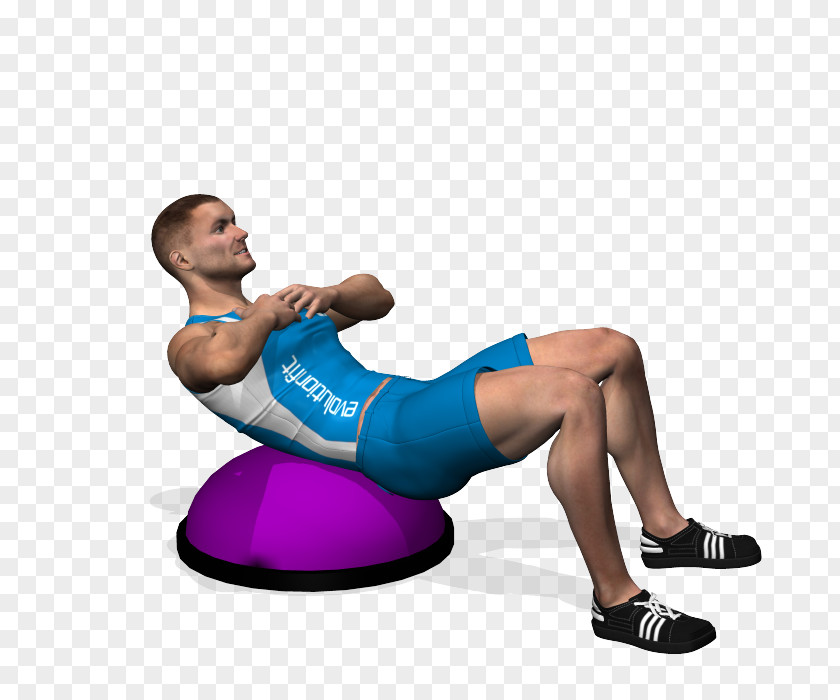Physical Fitness Crunch BOSU Abdominal Exercise PNG