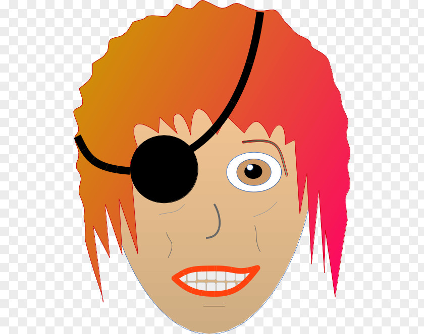Pirate Parrot Cheek Facial Expression Eyebrow Face Forehead PNG