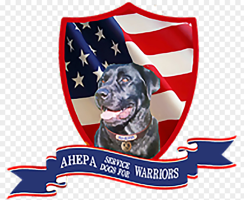 Service Dog Breed Malinois American Hellenic Educational Progressive Association Leash PNG