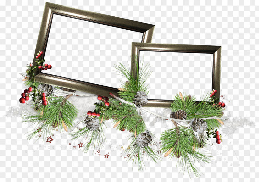 Winter Picture Frames Photography Clip Art PNG