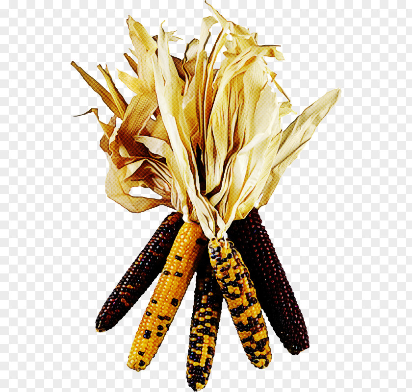 Yellow Plant Vegetarian Food PNG