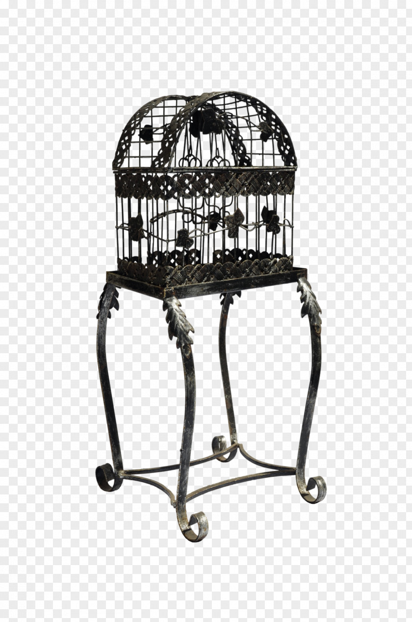 Bird Cage Birdcage DeviantArt Metal Furniture PNG