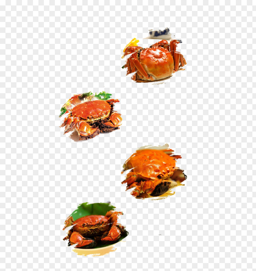 Crabs Seafood Lobster Crab Cracker Garnish PNG