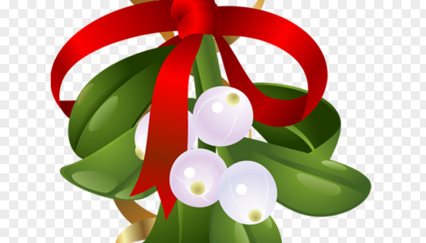 Bigfoot kit Mistletoe Clip Art Christmas Day Decoration PNG