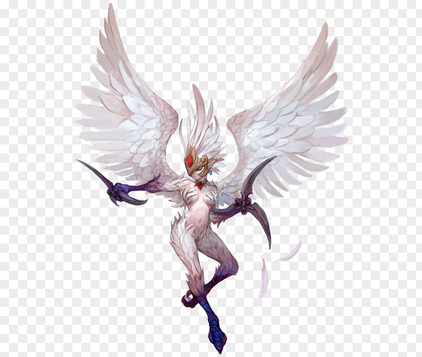 Dungeons And Dragons Dragon Nest Harpy Model Sheet Character PNG