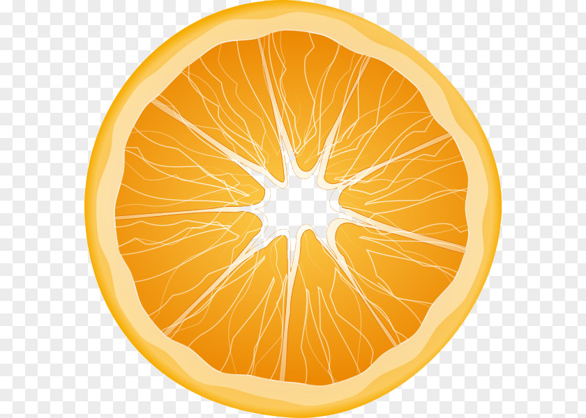 Orange Free Download Juice Slice Clip Art PNG