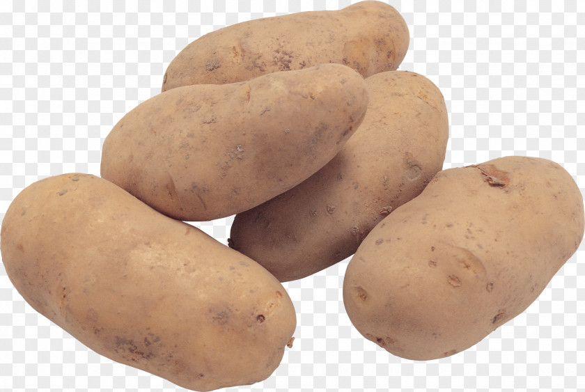 Potato Images, Pictures, Free Download Russet Burbank Breakfast Sausage Yukon Gold Fingerling PNG