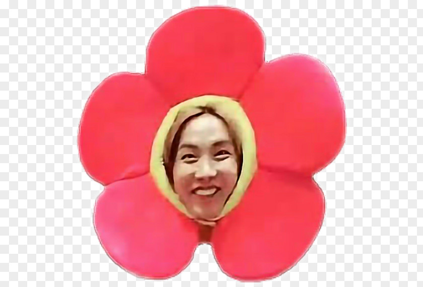 T-shirt BTS Flower Image Love Yourself: Her PNG