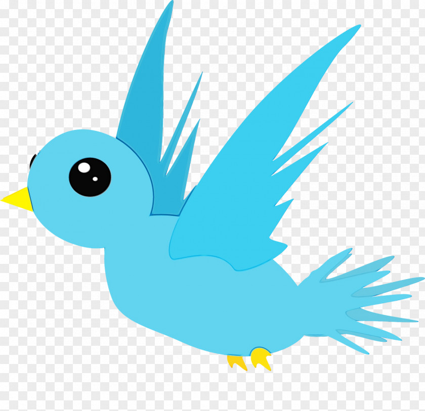 Tail Wing Swallow Bird PNG