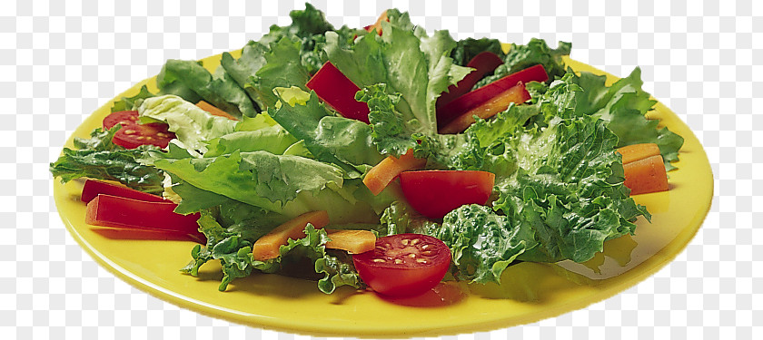 Vegetable Salad Chef Taco Seven-layer PNG