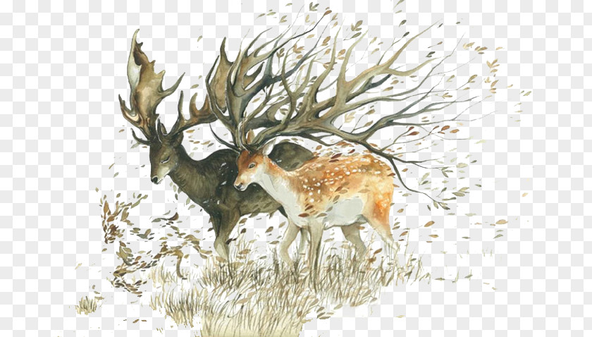 Cartoon Forest Deer Watercolor Painting Artist Drawing Illustrator PNG