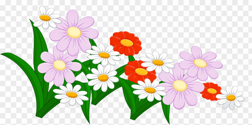 Floral Design Daisy PNG