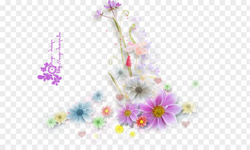 Flower Animation Common Daisy PNG