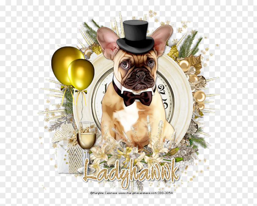 New Year Design French Bulldog Puppy Love Dog Breed PNG