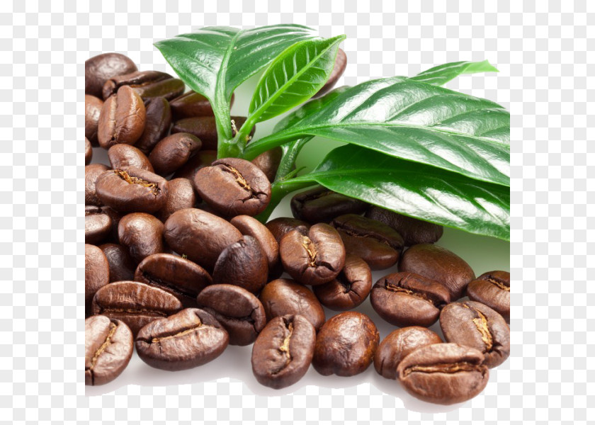 Beans Coffee Bean Espresso Cocoa PNG