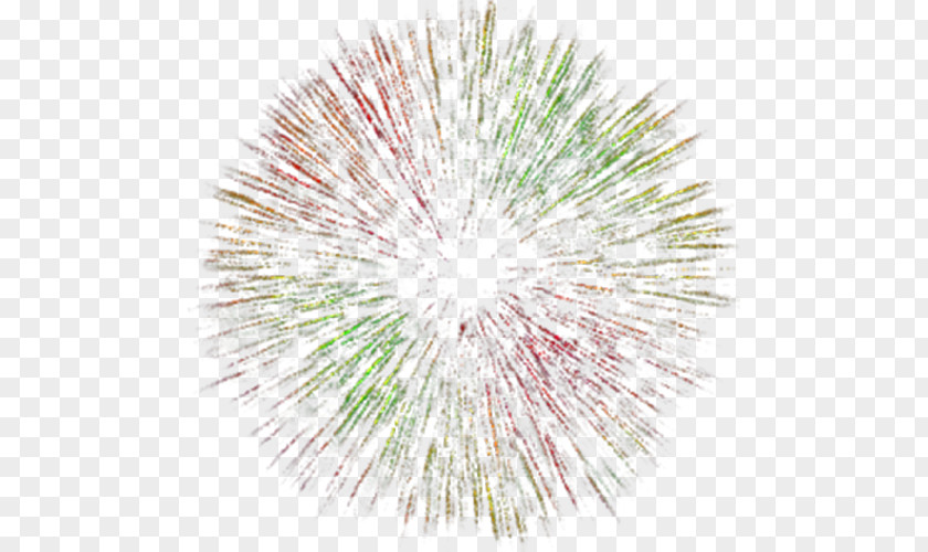 Colorful Fireworks Animation PNG
