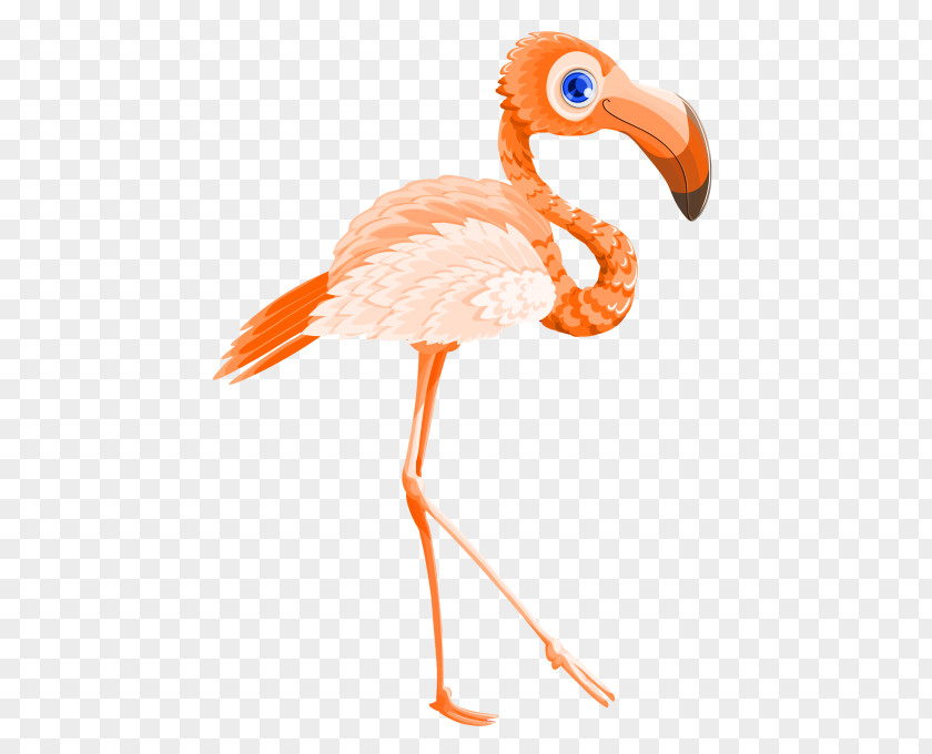 Flamingo Transparency Image Vector Graphics Clip Art PNG