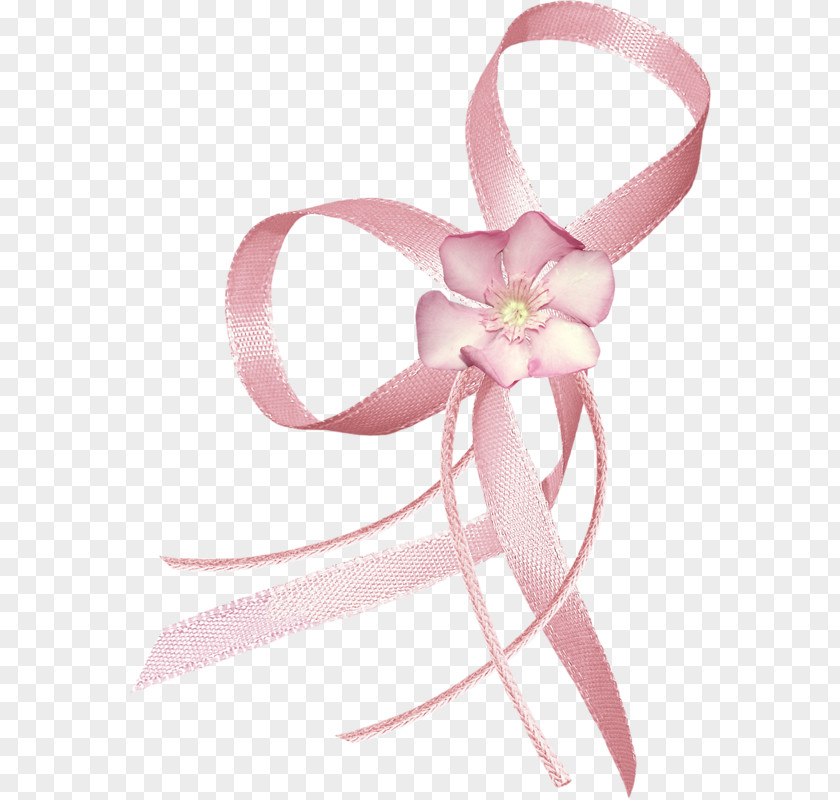 Flower Pink Petal Ribbon Garden Roses PNG