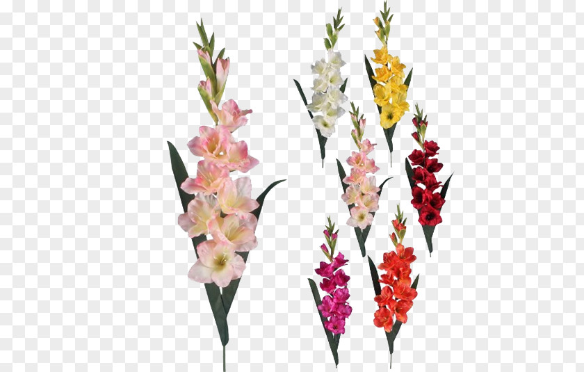 Gladiolus Transparent Background Artificial Flower Floristry PNG