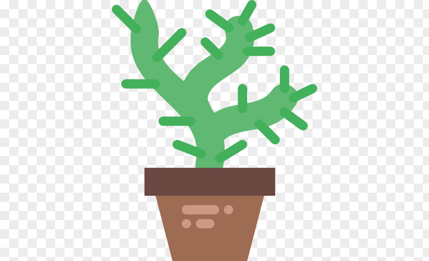 Plant Cactaceae Clip Art PNG