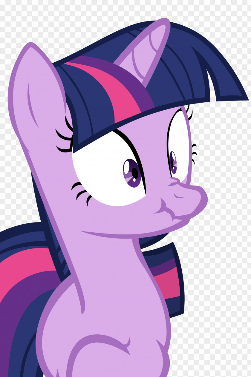 Twilight Sparkle Rainbow Dash Pony Pinkie Pie Princess Luna PNG