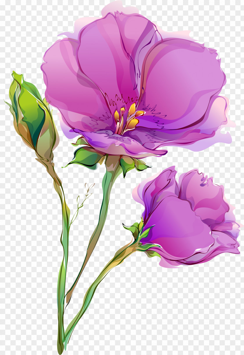 Watercolor Flower Paper Painting Floral Design Wallpaper PNG