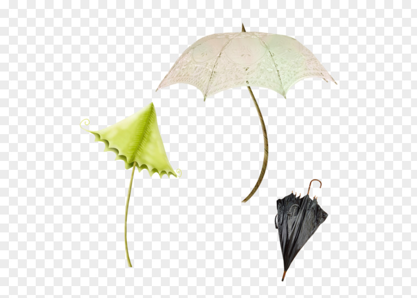 Form An Umbrella Email Download Clip Art PNG