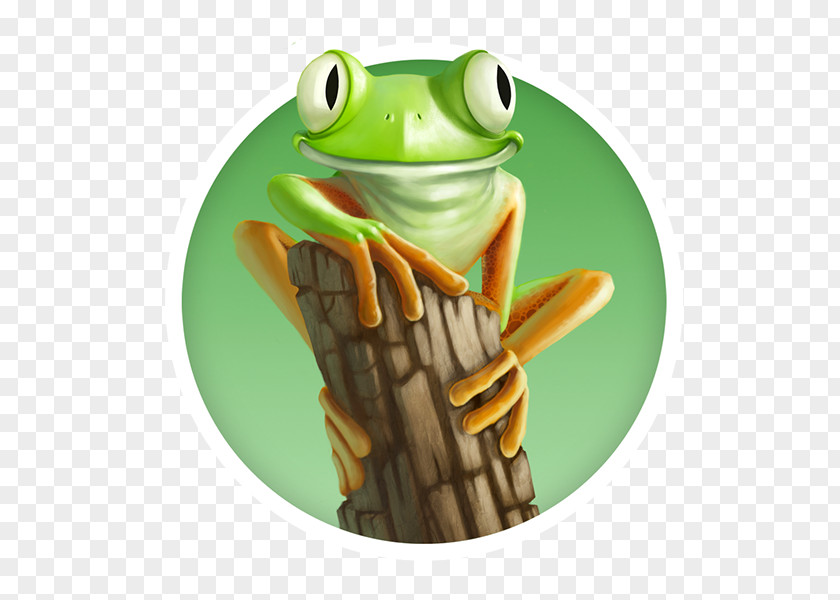 Frog Tree True Brazil Information PNG