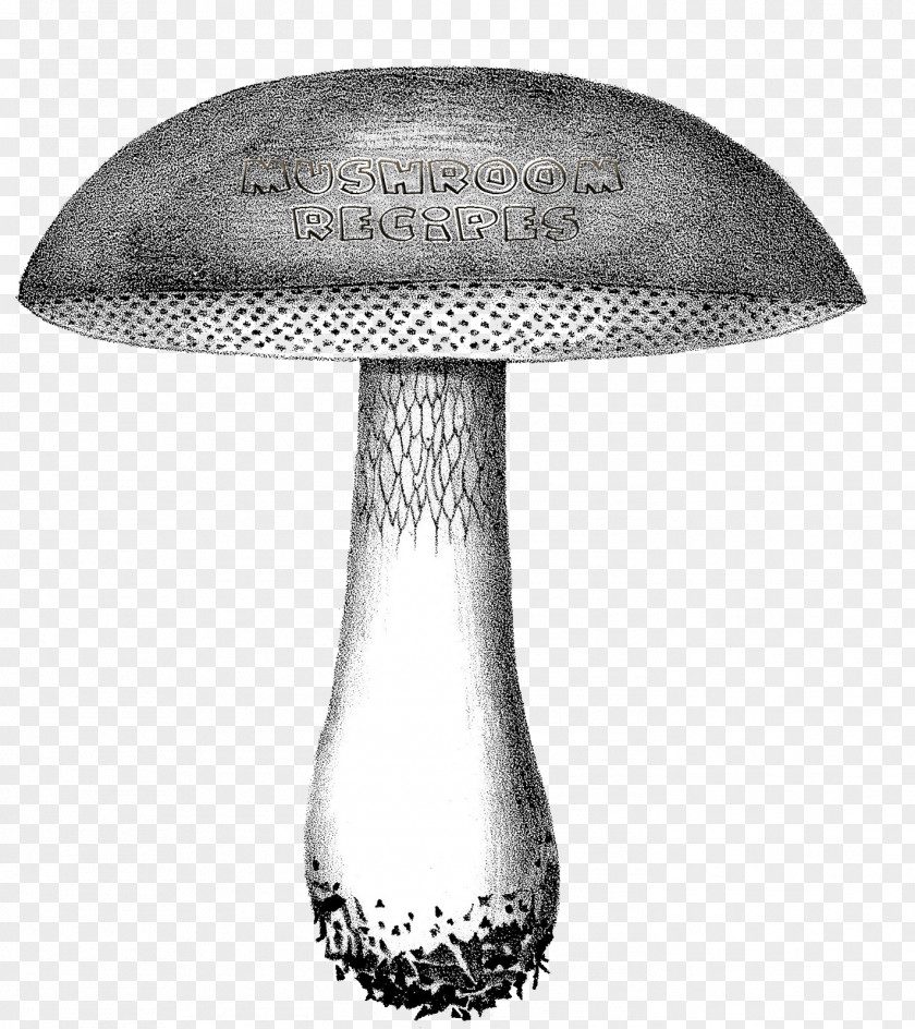 Mushroom Psilocybin Clip Art 水墨 Image PNG