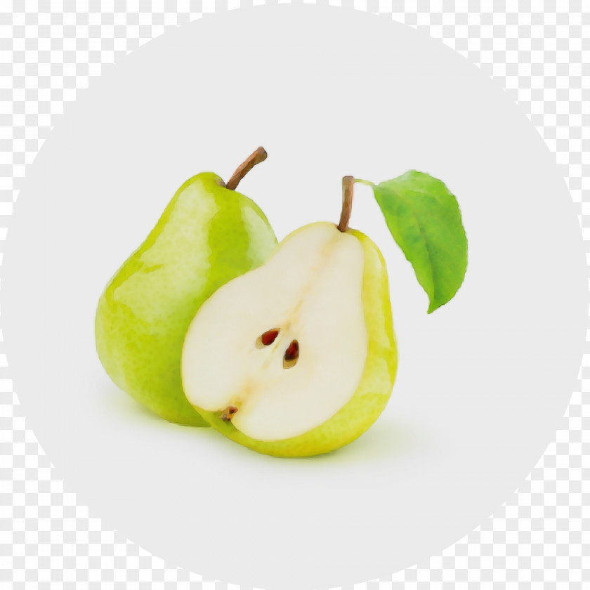 Tree Apple Pear Fruit Food Plant PNG