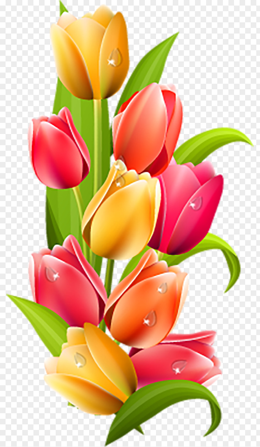 Tulip Desktop Wallpaper Clip Art PNG
