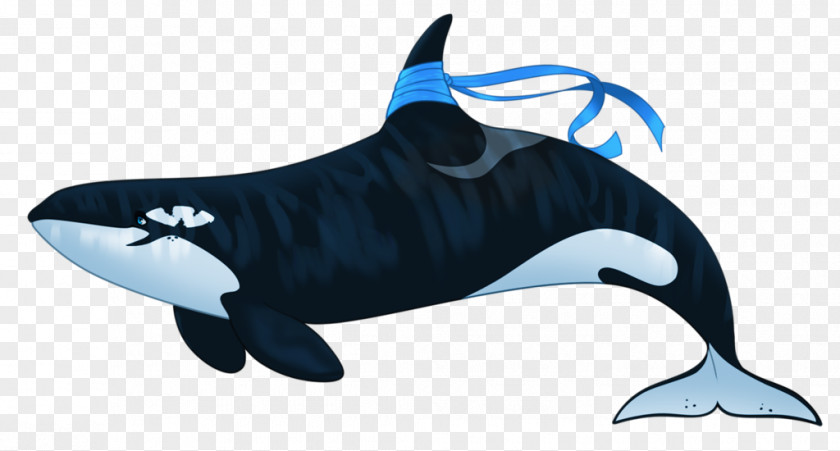Youtube Rough-toothed Dolphin Killer Whale DeviantArt YouTube PNG