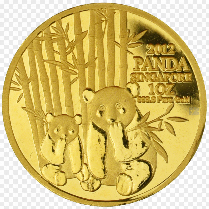 Gold Coins Cat Felidae Coin Money Metal PNG