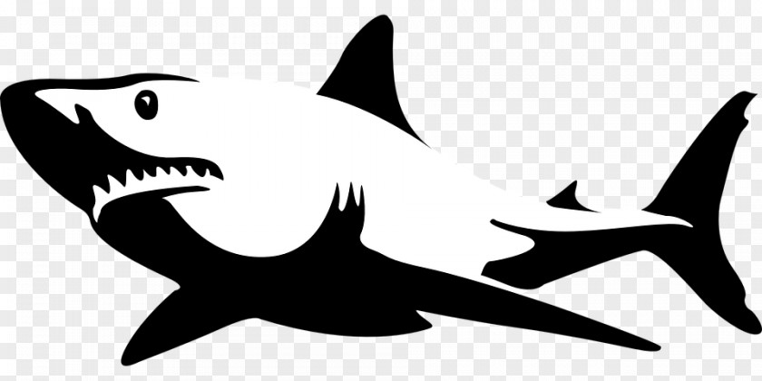 Shark Jaws Great White Bull Clip Art PNG