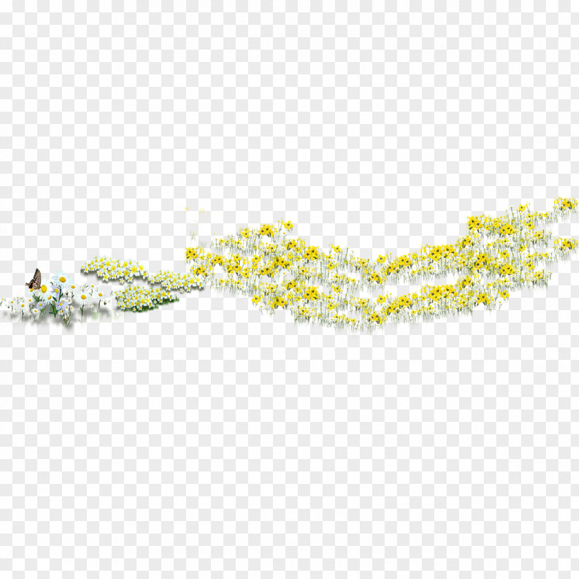 Chrysanthemum Indicum Pattern PNG
