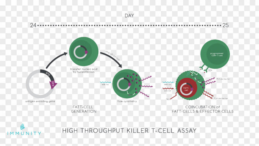 Design Brand HIV Vaccine Diagram PNG