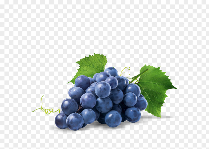 Grape Sultana Zante Currant Seedless Fruit Bilberry PNG