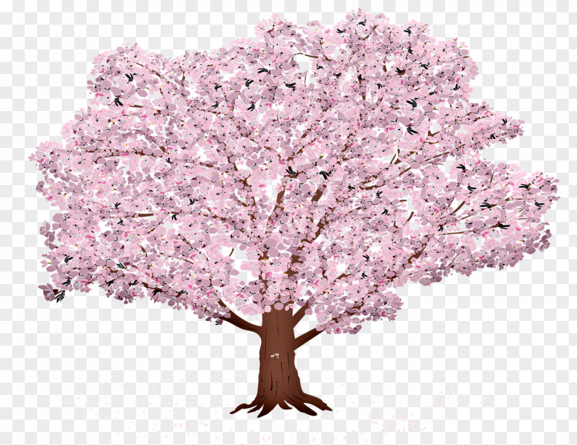 Grass Spring Cherry Blossom Tree PNG